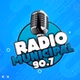 FM Municipal Anelo logo