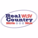 Logo de Real Country 100.3 FM & 790AM - WLSV