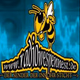 Logo de Radio Wespennest