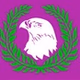 Falcon FM logo