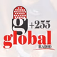 Logo de +255 Global Radio