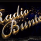 Logo de Radio Buntekiste