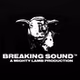 Breaking Sound Radio (BSR) logo
