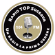Logo de Radio Top Suceava