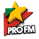 ProFM - ProFM Black logo