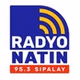 Radyo Natin Sipalay - DYSY logo