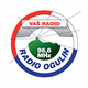 Logo de Radio Ogulin 96.6