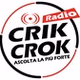 Radio Crik Crok logo