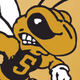 Logo de WVSC - WVSC-cc