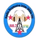 Radio Royaume Inter Mole HTI 88.7 Fm logo