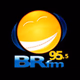Logo de BR FM 95.5