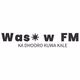 Logo de Waasow FM