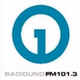 Radio UNO FM 101.3 logo