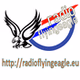 Radio Flying Eagle logo