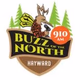 Logo de Buzz of the North 910 AM - WBZH