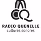 Radio Quenelle logo