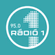 Logo de FM95 Rádió 1 Debrecen