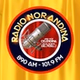 Radio Nor Andina logo
