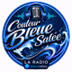 Logo de Couleur Bleue Salée