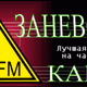 Logo de Заневский Канал