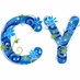 Radio Coolyar logo