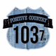 Positive Country 103.7 - WCZE logo