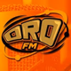 Logo de ORO FM 88.1 - XHSCJS