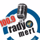 Logo de Radyo Mert