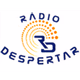 Logo de Rádio Despertar 91.0 FM