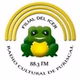 Radio Cultural de Puriscal logo