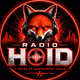 Logo de Radio Hoid