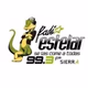Radio Estelar 99.3 logo