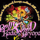 Logo de Bollywood Radio and Beyond