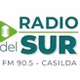 Radio Del Sur Casilda logo