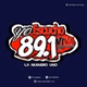 Radio Viva Fenix - Ipiales FM logo