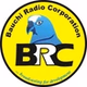 BRC FM Alkaleri logo