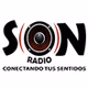 Radio Son de Costa Rica logo