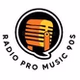 Radio Pro Music 90s logo