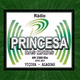 Logo de Rádio Princesa das Matas