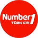 Number1 FM - Number1 Türk Damar logo