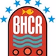 Brighton and Hove Community Radio logo