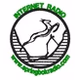 Springbok Radio Preservation Society of South Africa logo