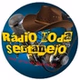 Rádio Moda Sertanejo logo