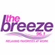 Logo de 96.1 The Breeze - WMSX