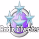 Logo de Silverster FM