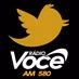 Rádio Você AM 580 logo