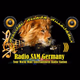 Logo de Radio SAM Music - Radio SAM Germany