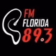 FM FLORIDA logo