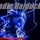 Logo de Radio Hajducki Inat