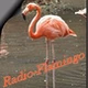 Radio Flamingo logo
